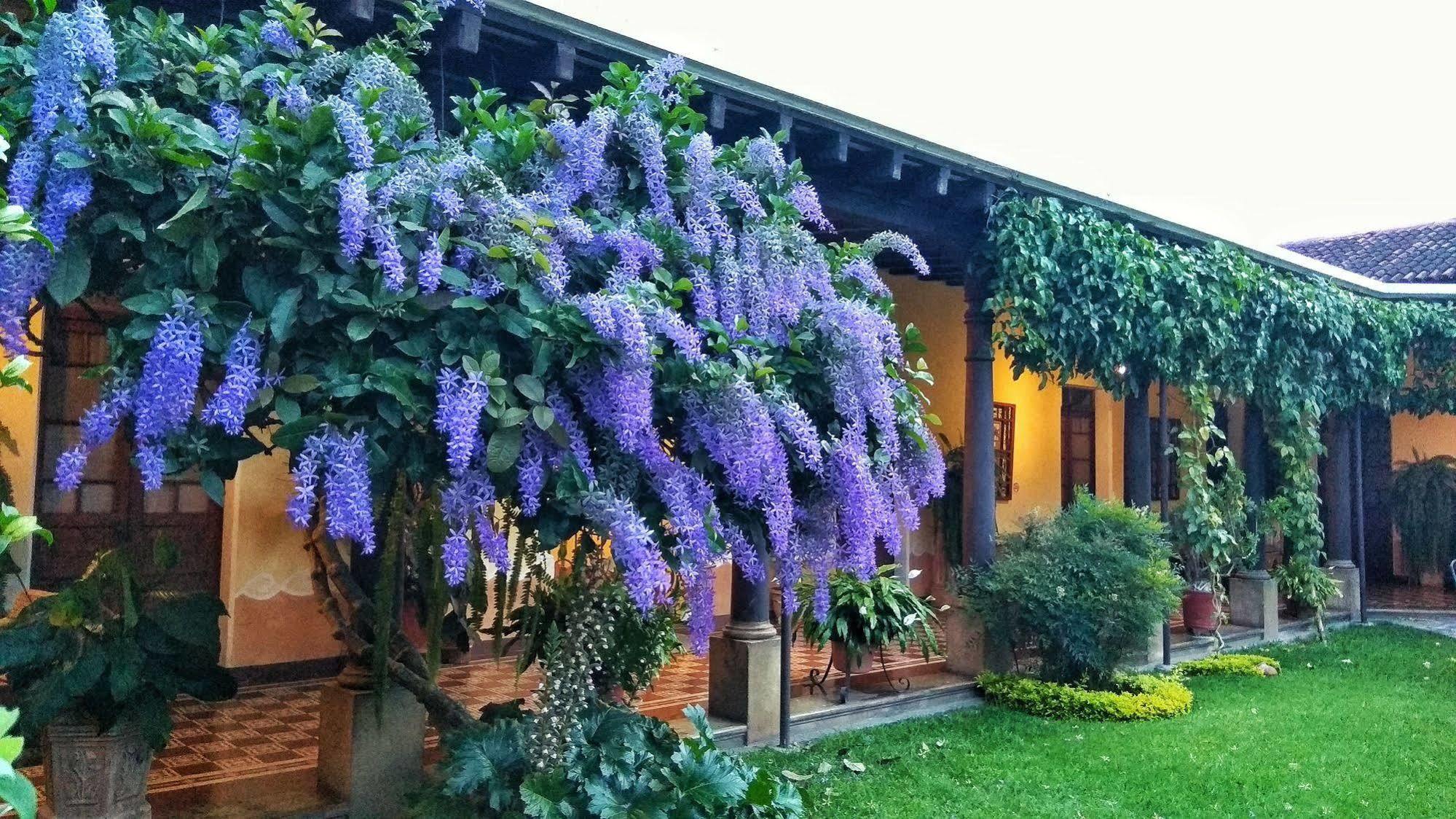 Hotel Aurora Antigua Esterno foto